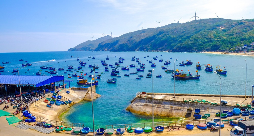 Tỉnh Gia Lai đang nghiên cứu mô hình phát triển cảng cá Nhơn Lý (phường Quy Nhơn Đông) theo hướng kết hợp khai thác du lịch. Ảnh: Sưu tầm