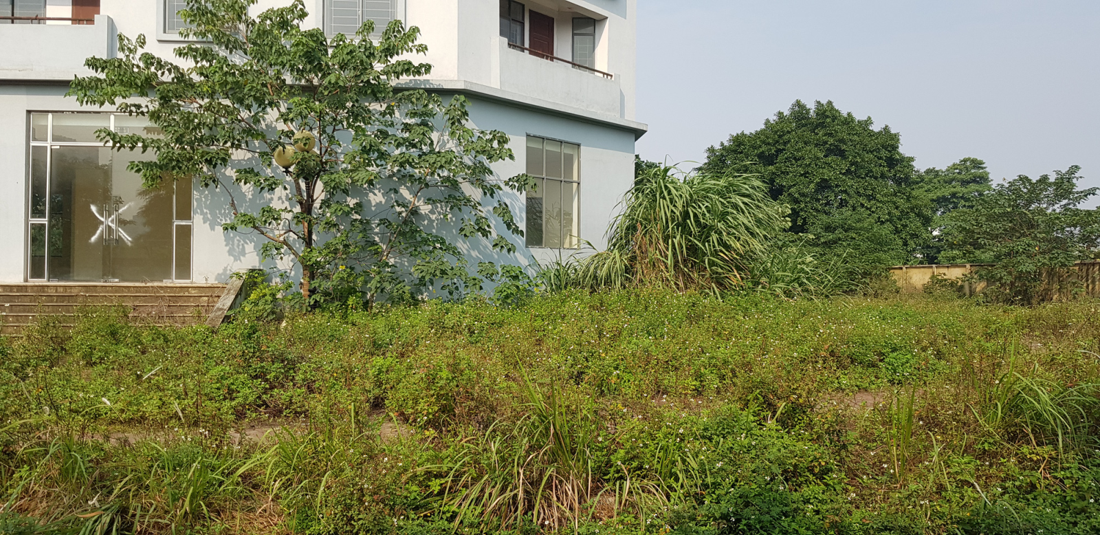 Khu tái định cư Kiều Mai tại Xuân Phương, Hà Nội hoàn thành xây dựng từ năm 2013, hiện đang bỏ không