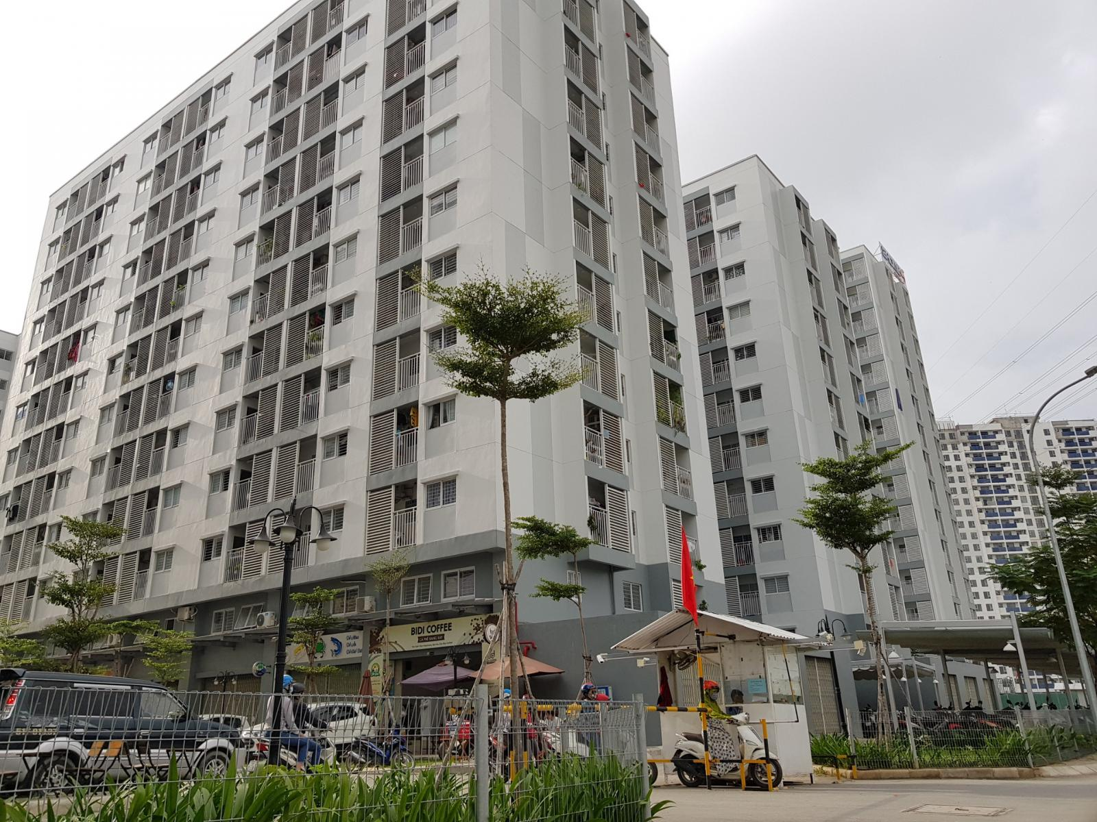 Hà Nội miễn tiền sử dụng đất đối với doanh nghiệp đầu tư các dự án nhà ở cho thuê