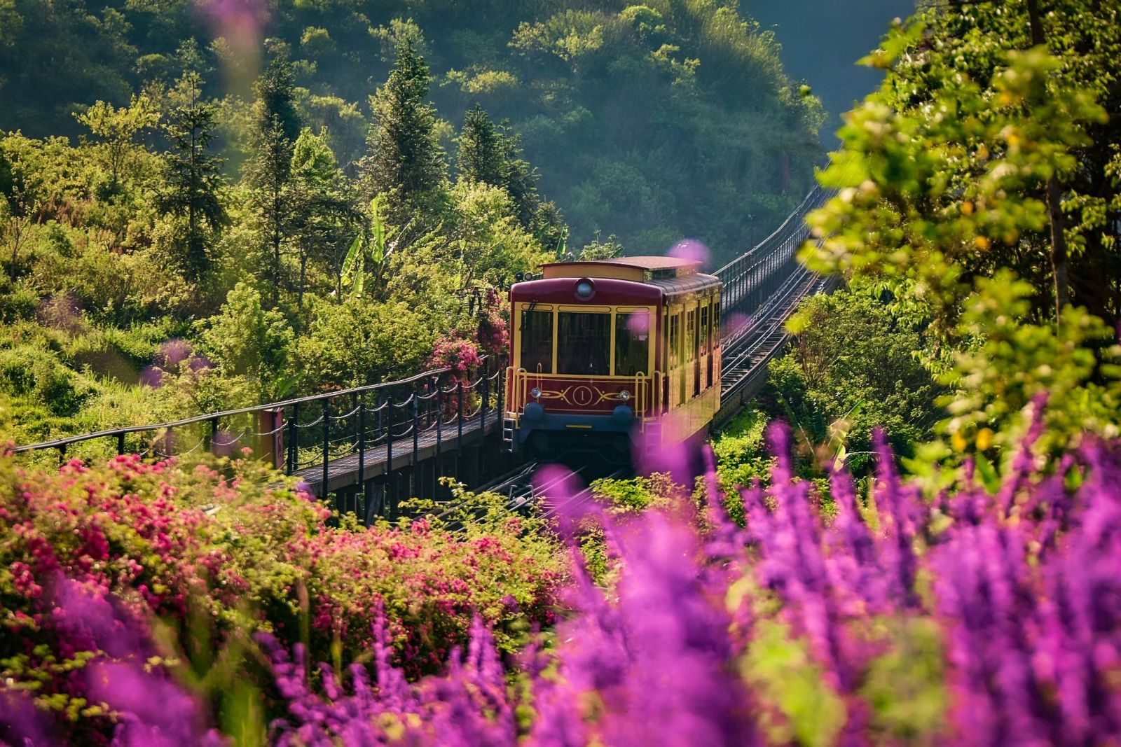 Hành trình xuyên qua thung lũng thơ mộng của tàu hỏa leo núi Mường Hoa.
