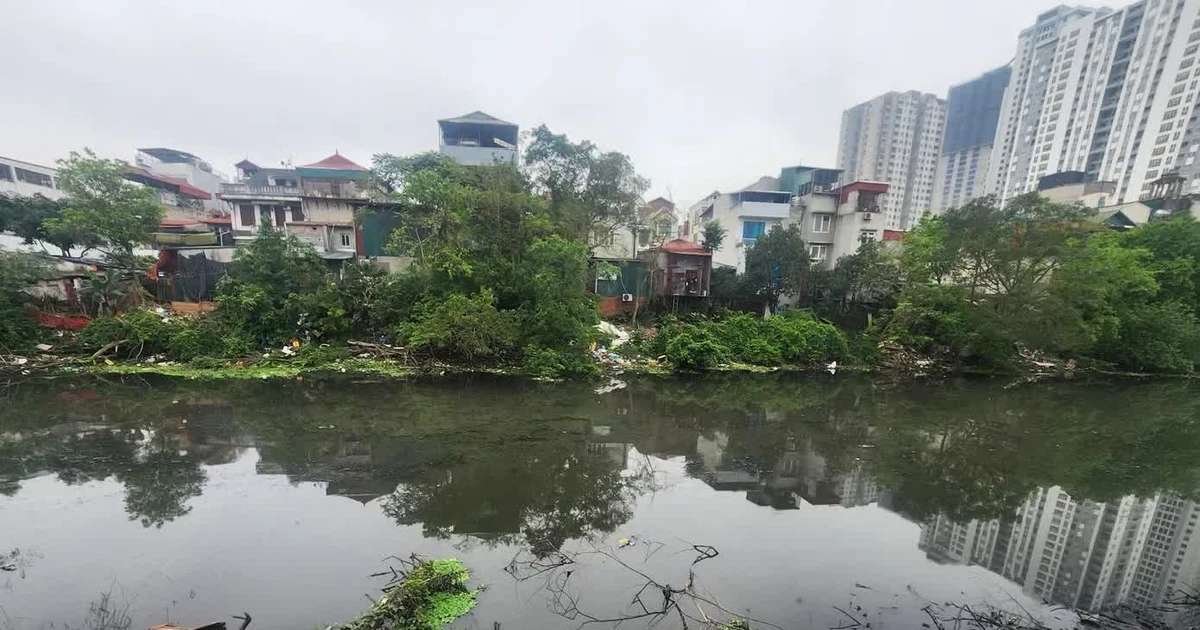 Hiện trạng ô nhiễm của sông Nhuệ