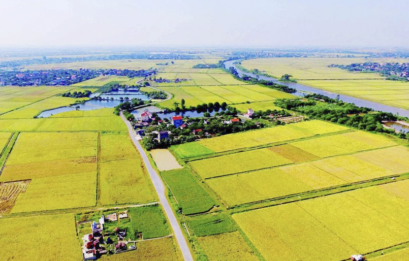 Hạn mức giao đất ở là căn cứ xác định tiền sử dụng đất khi cấp Sổ đỏ.