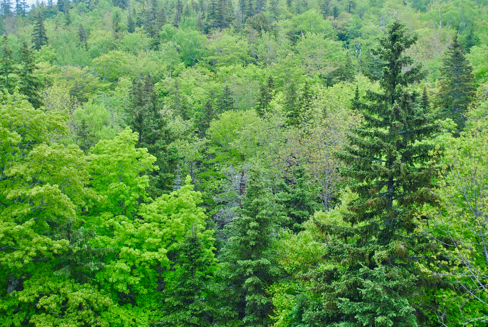 image-20261001162225-1.png
