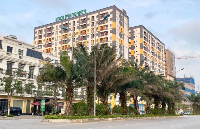 Thị trường nhà ở xã hội Hải Phòng: Nguồn cung và các dự án đáng chú ý